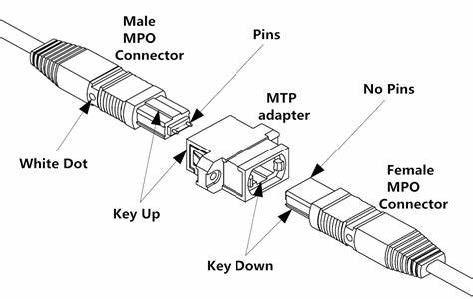 12F MPO-MPOのトランクのケーブル コネクタのタイプ