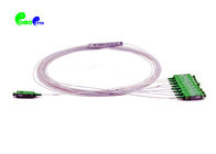 Fiber Optic PLC Splitter 1x8 Mini Module 900μm SC APC Singlemode