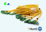 E2000 - E2000 48F Fiber Optic Patch Cables OS2 Multifiber Single Mode Breakout