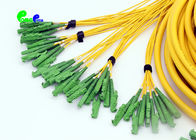 E2000 - E2000 48F Fiber Optic Patch Cables OS2 Multifiber Single Mode Breakout