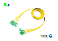 12F micro fanout  Fiber Optic Patch Cord LC APC - LC APC  SM OS2 main cable 3.0mm OD  fanout 2.0mm Cable OD IEC Grade B1